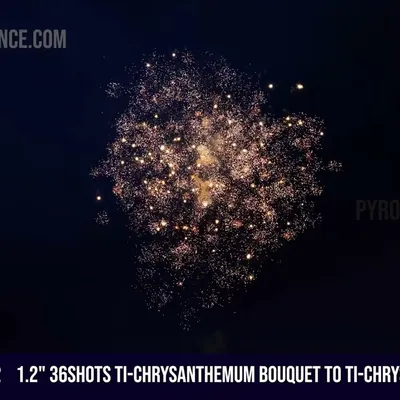 1.2" 36Shots Ti-Chrysanthemum bouquet to Ti-Chrysanthemum