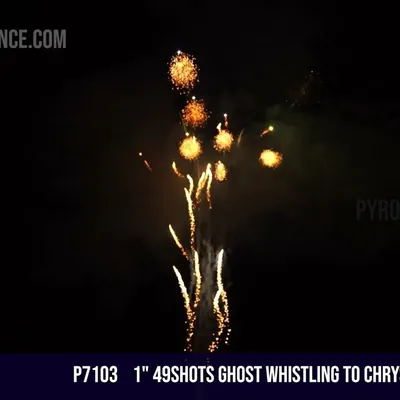 1" 49Shots Ghost whistling to chrysanthemum