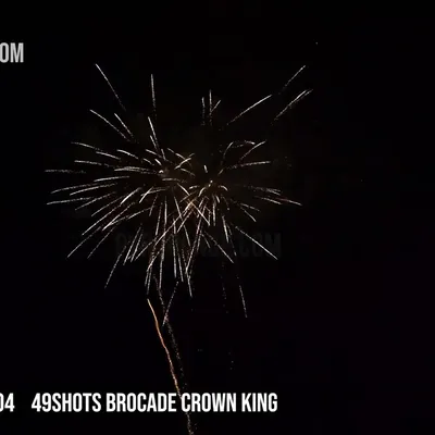 49Shots Brocade Crown