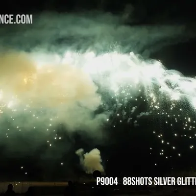 88Shots Silver Glitter Falling Leaves