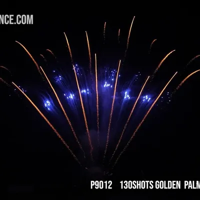 130Shots Golden Palm  Tail Blue Dahlia