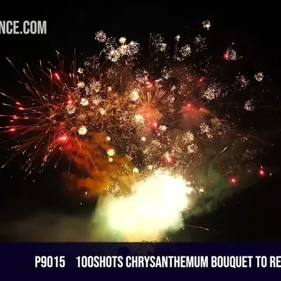 100Shots Chrysanthemum Bouquet to Red Chrysanthemum