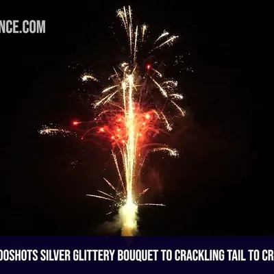 100Shots Silver Glittery Bouquet to Crackling Palm Tree