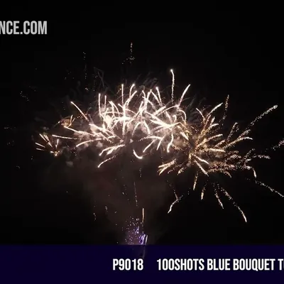 100Shots Blue bouquet to silver palm tree