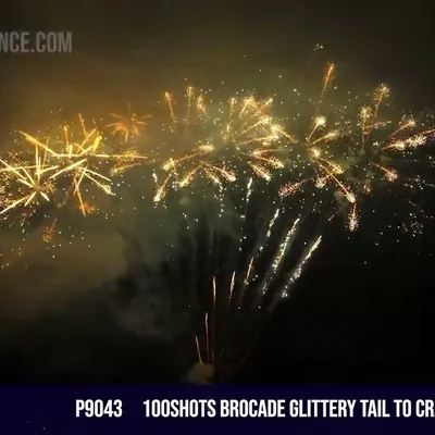 100Shots Brocade Glittery Tail to Crackling Palm Tree
