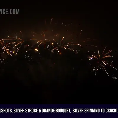 260Shots, Silver Strobe & Orange Bouquet,               Silver Spinning to Crackling, Golden Palm Tree