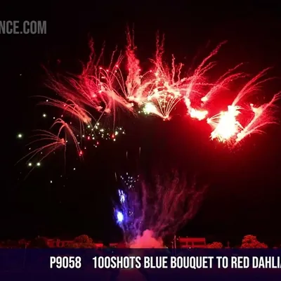 100Shots Blue bouquet to red dahlia green strobe