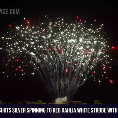 100Shots Silver spinning to red dahlia white strobe with Red green blue bouquet