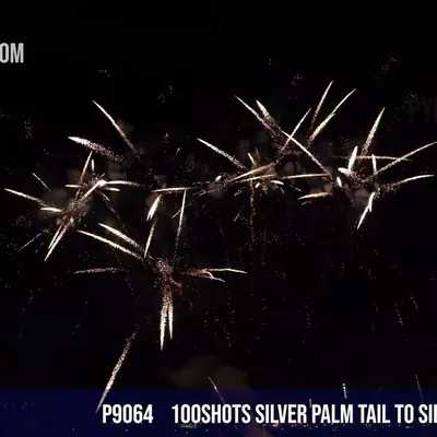 100Shots Silver Palm tail to Silver palm