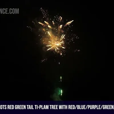 100Shots Red Green tail Ti-Plam Tree with Red/Blue/Purple/Green, White Strobe Assorted Effects