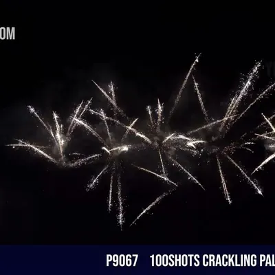 100Shots Crackling Palm Tree
