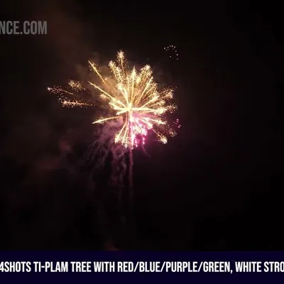 64Shots Ti-Plam Tree with Red/Blue/Purple/Green, White Strobe Assorted Effects