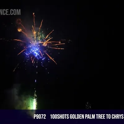 100Shots Golden Palm Tree to Chrys with Green and Blue