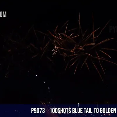 100Shots Blue tail to Golden Palm Tree