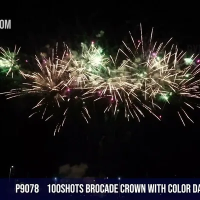 100Shots Brocade crown with color dahlia stars