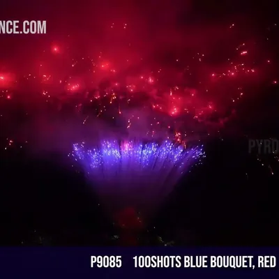 100Shots Blue bouquet, Red glittery willow