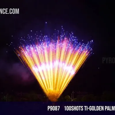100Shots Ti-Golden palm with blue dahlia