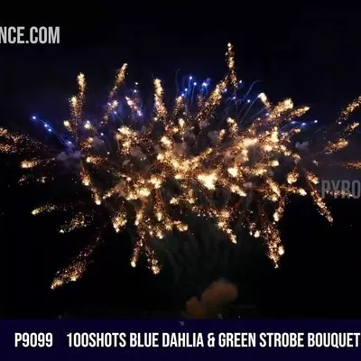100Shots blue dahlia & green strobe bouquet to golden spider