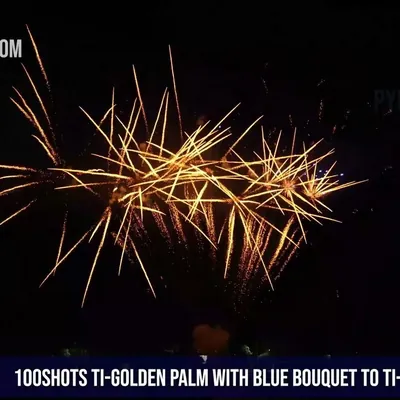 100Shots Ti-golden palm with blue bouquet to Ti-Golden palm