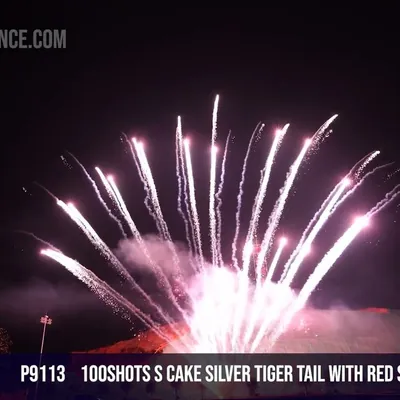 100Shots S Cake Silver tiger tail with red strobe bouquet