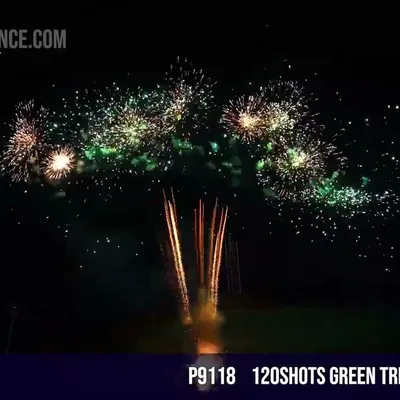 120Shots Green Tree / 12Seconds