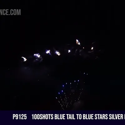100Shots Fan Cake Blue stars silver fish /16Seconds