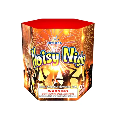 Noisy Night 19Shots